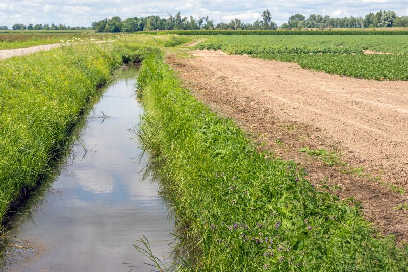 The Difference Professional Drainage Makes